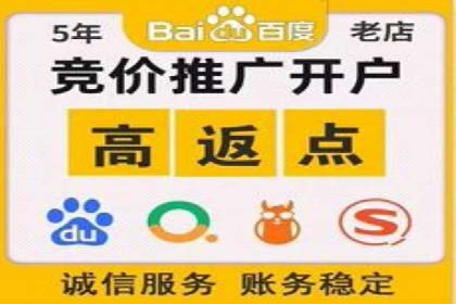 案例解读：SEO与SEM优化助力电商崛起
